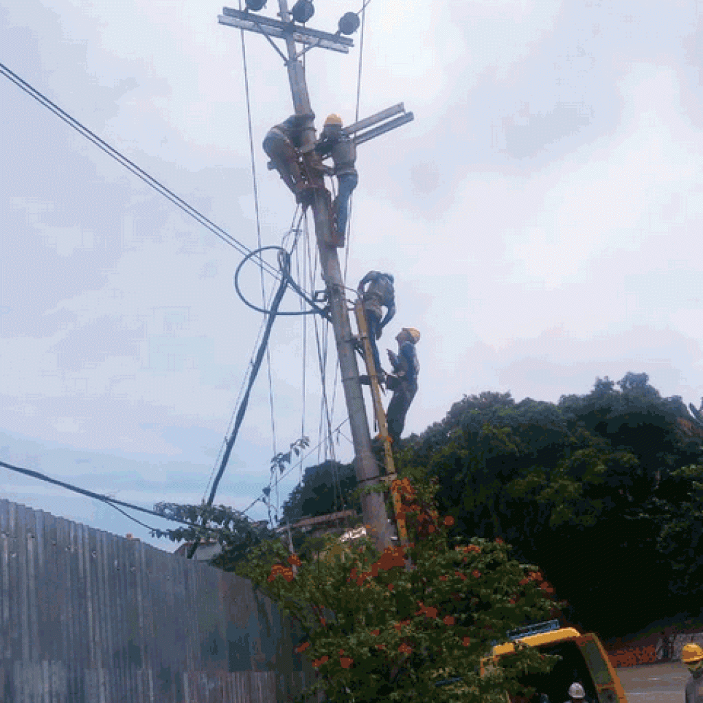 PLN