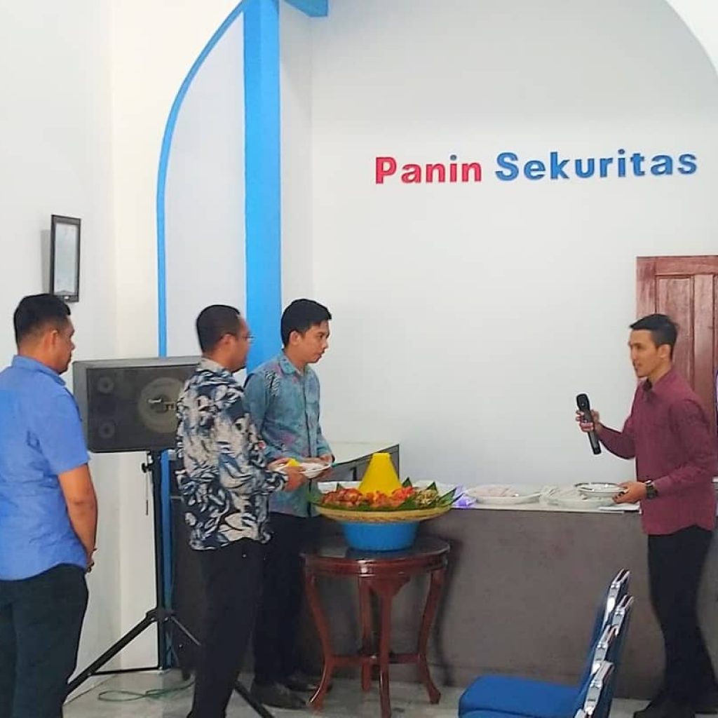 Panin