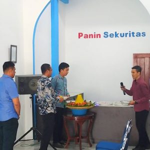 Panin