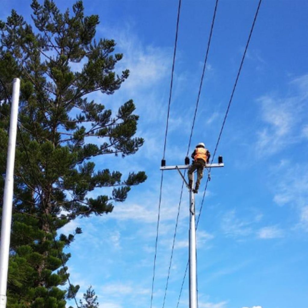 pln
