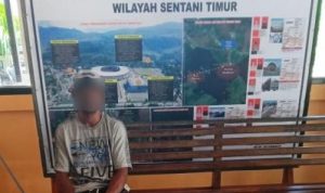 sentani256