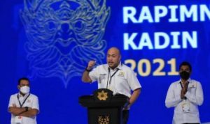 Kdin alai12112